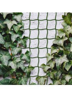   Növényfuttató háló - 5 m x 50 cm - vágható műanyag - sötétzöld